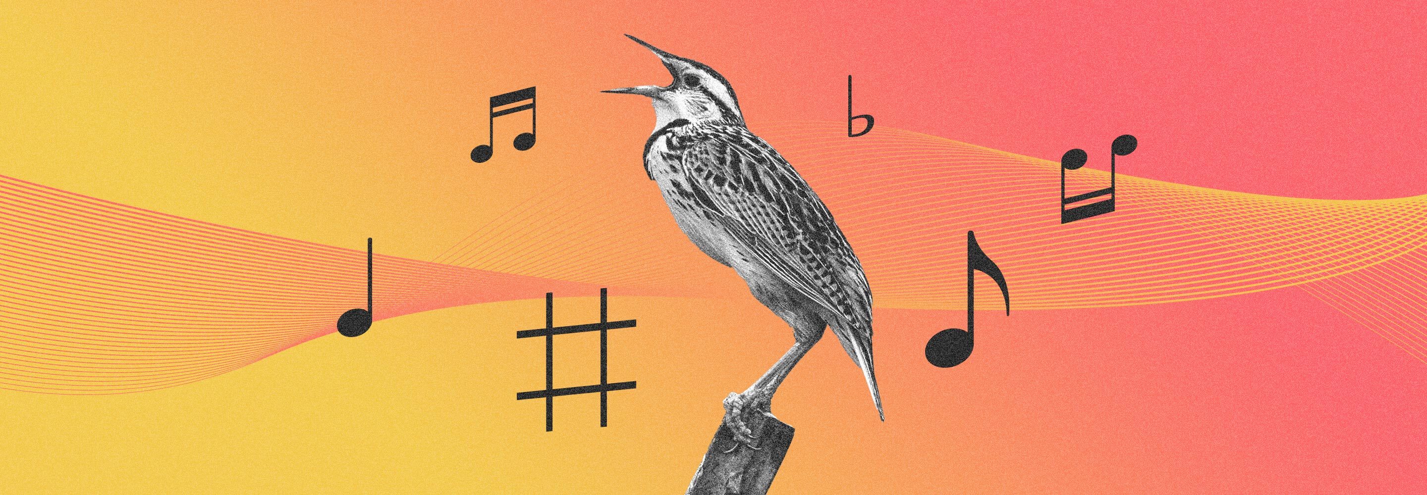 fundamentals-of-vocal-pitch-correction-featured-image.jpg
