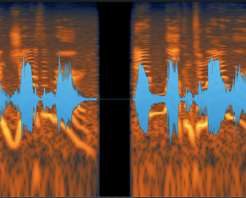 A dropout shown on a spectrogram