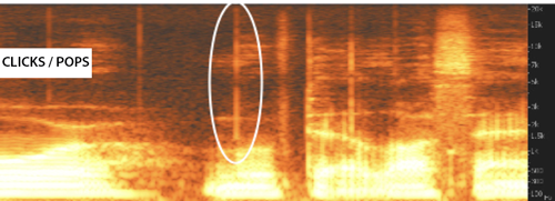 Clicks and pops shown on a spectrogram