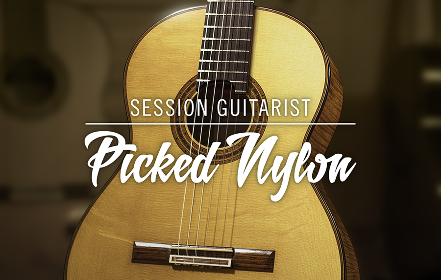 iZo-web-shop-Session-Guitarist-Picked-Nylon.png