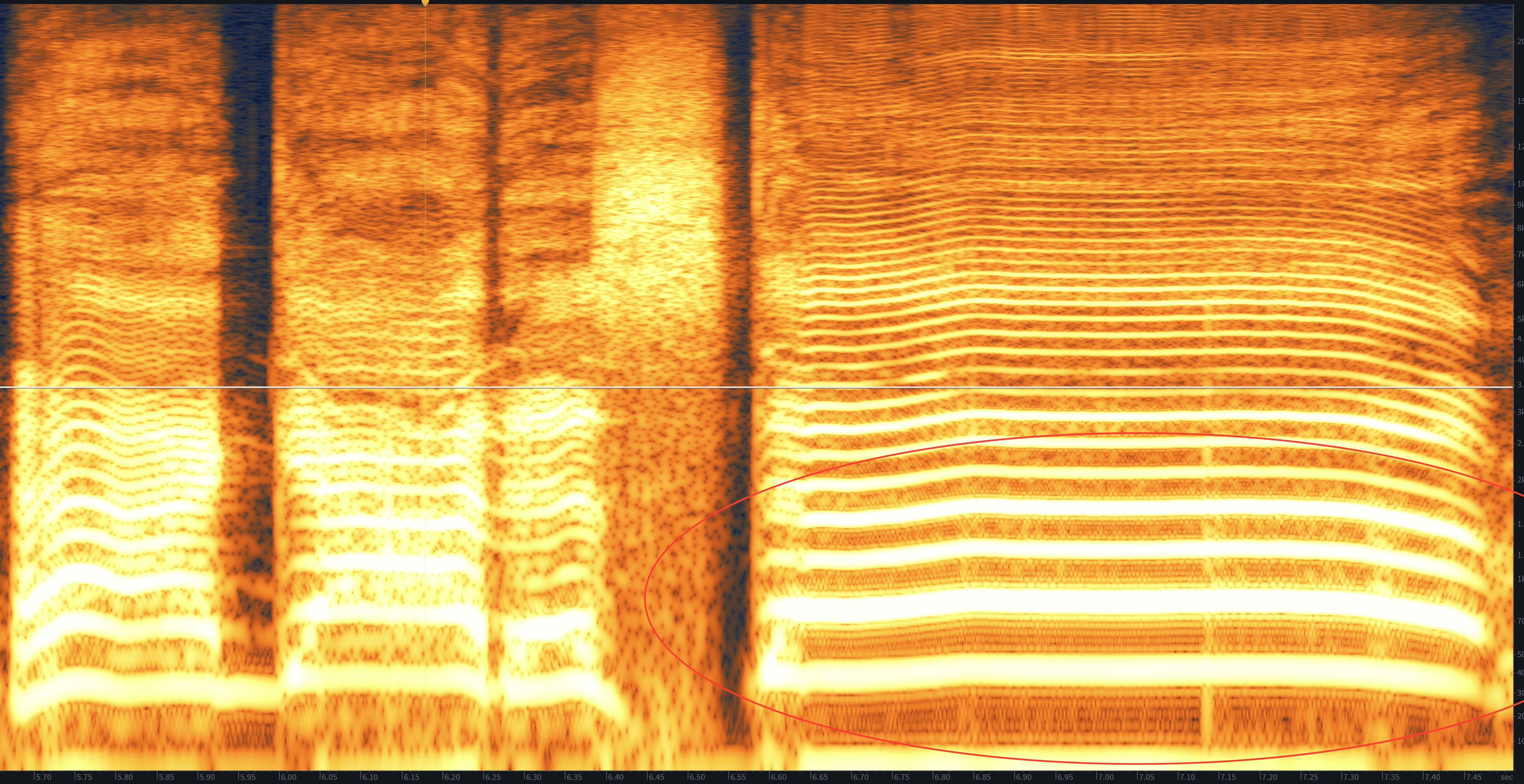 Distorted low and low-mid frequencies in the RX 7 Standard Spectrogram
