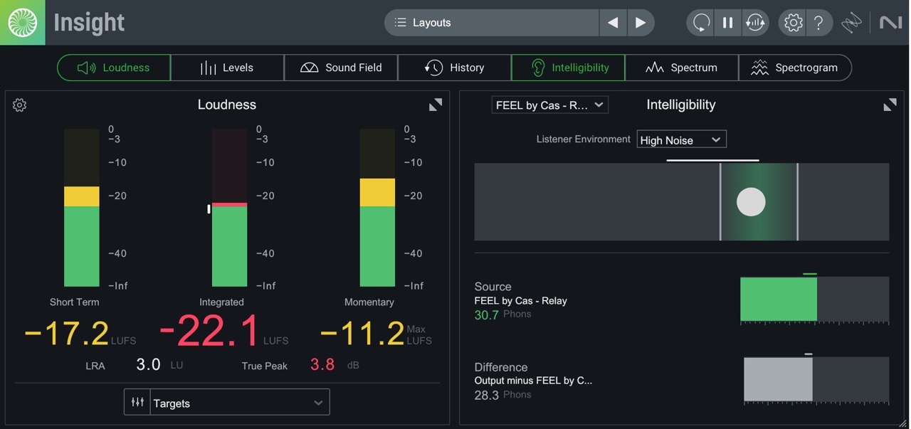 07 insight-intelligibility-meter.jpeg