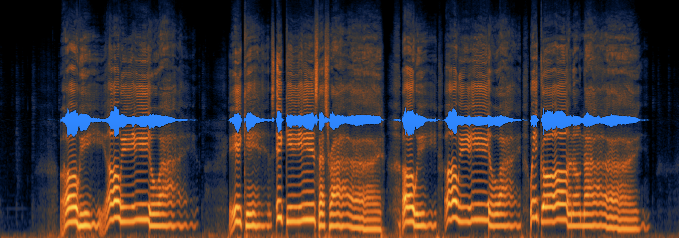 Raw vocal - before Repair Assistant