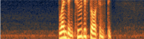 Hiss shown on a spectrogram