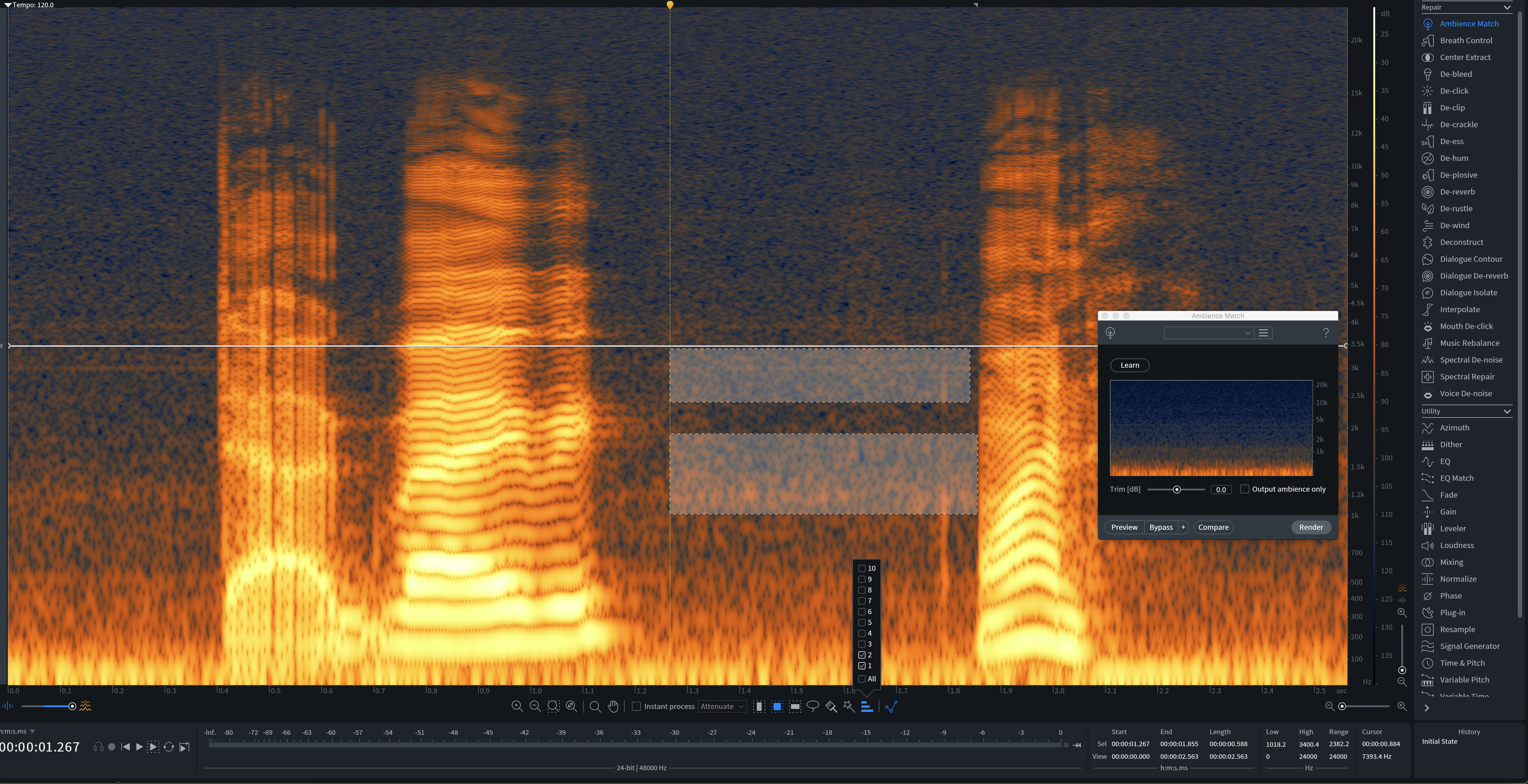Ambience selected with the R hotkey in RX to run through the Ambience Match module