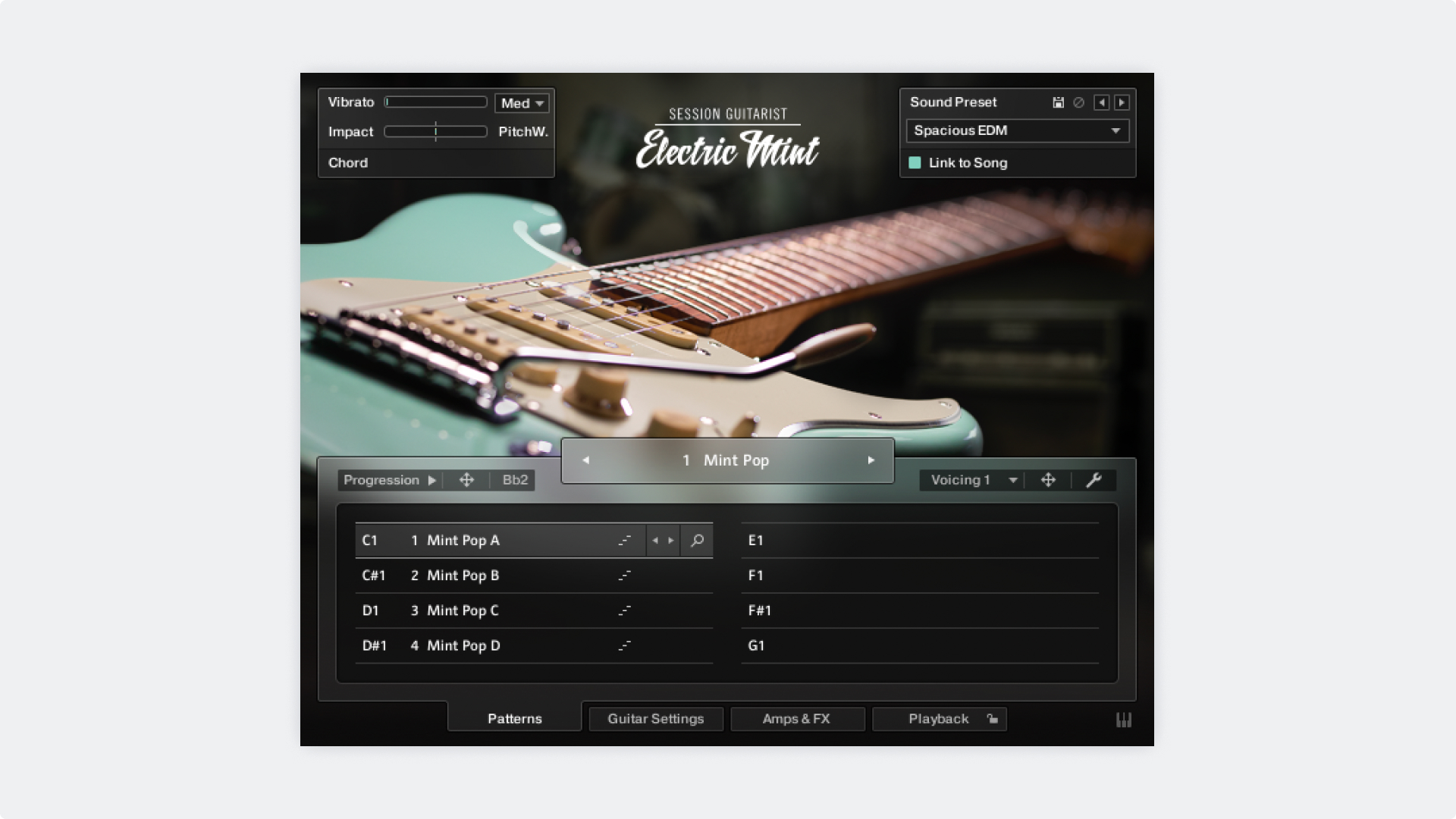 Session Guitarist — Electric Mint