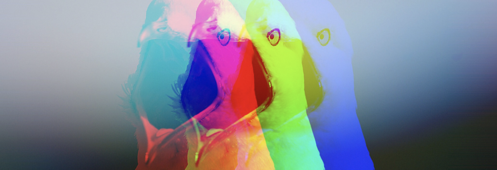 image-6.png